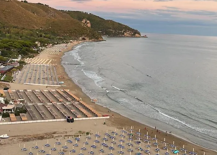 Levante Blu